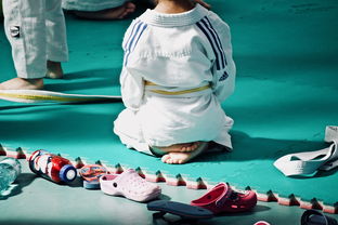 九游.中国官网-全国青少年武术套路锦标赛精彩绝伦，全国青少年武术套路锦标赛精彩绝伦视频