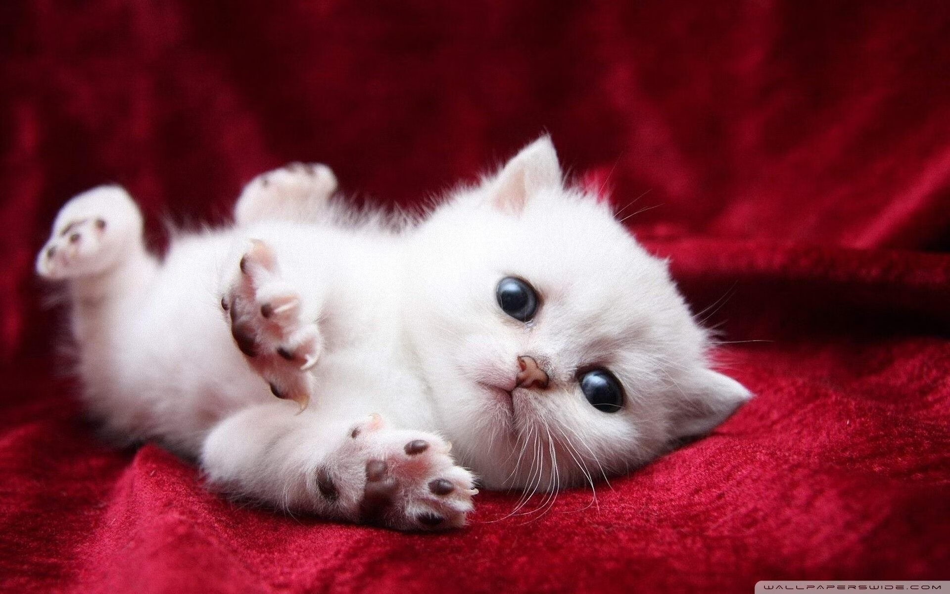 九游娱乐-中国男篮全力备战亚洲杯赛事，中国男篮亚洲杯预选赛赛