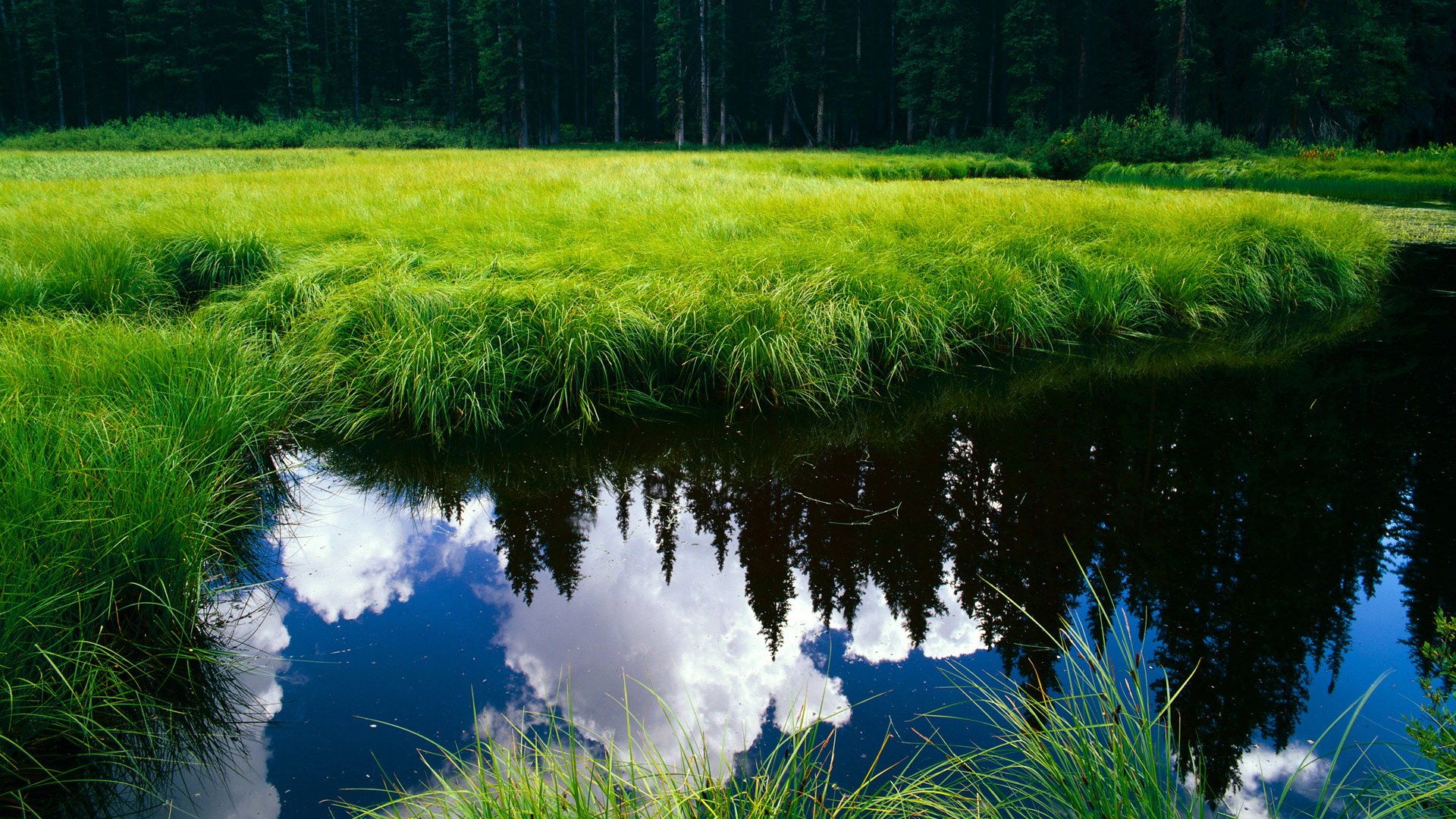 九游娱乐官网-中国香港队未来发展：如何通过国际交流推动技术革新与提升，香港队伍