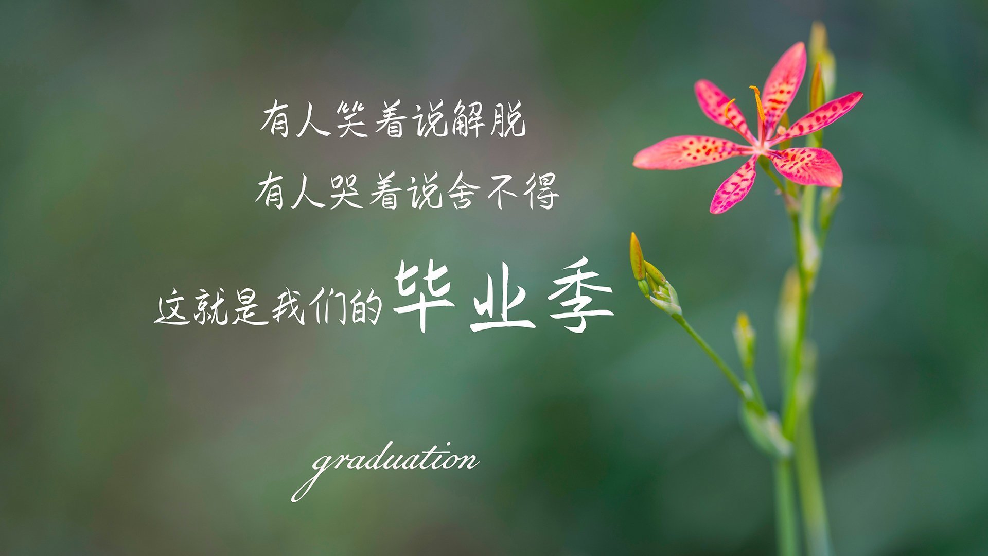 博卡目标：三年内重返南美之巅，博卡是哪个公司的