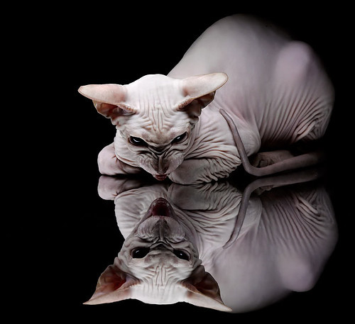 城市马拉松公益理念深入人心，城市马拉松意义