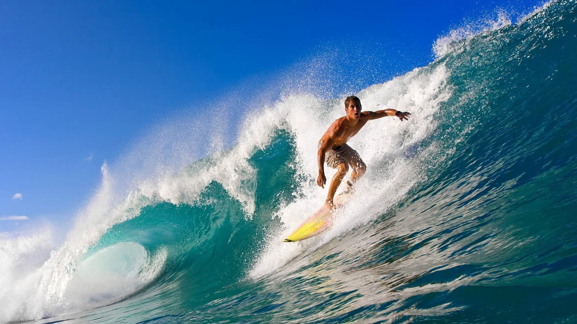 九游.中国官网-外援政策限制本土球员发展空间，外援新规