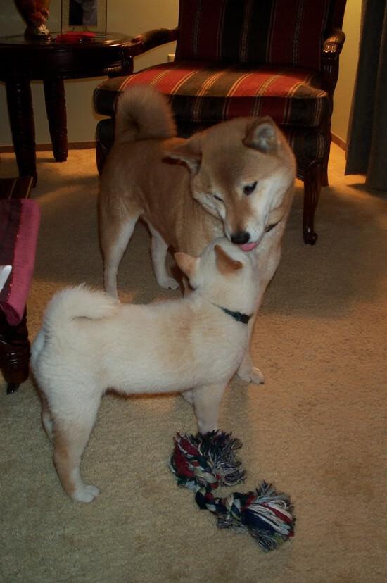 节奏切换是否是破紧逼防守的最佳方案，节奏把控