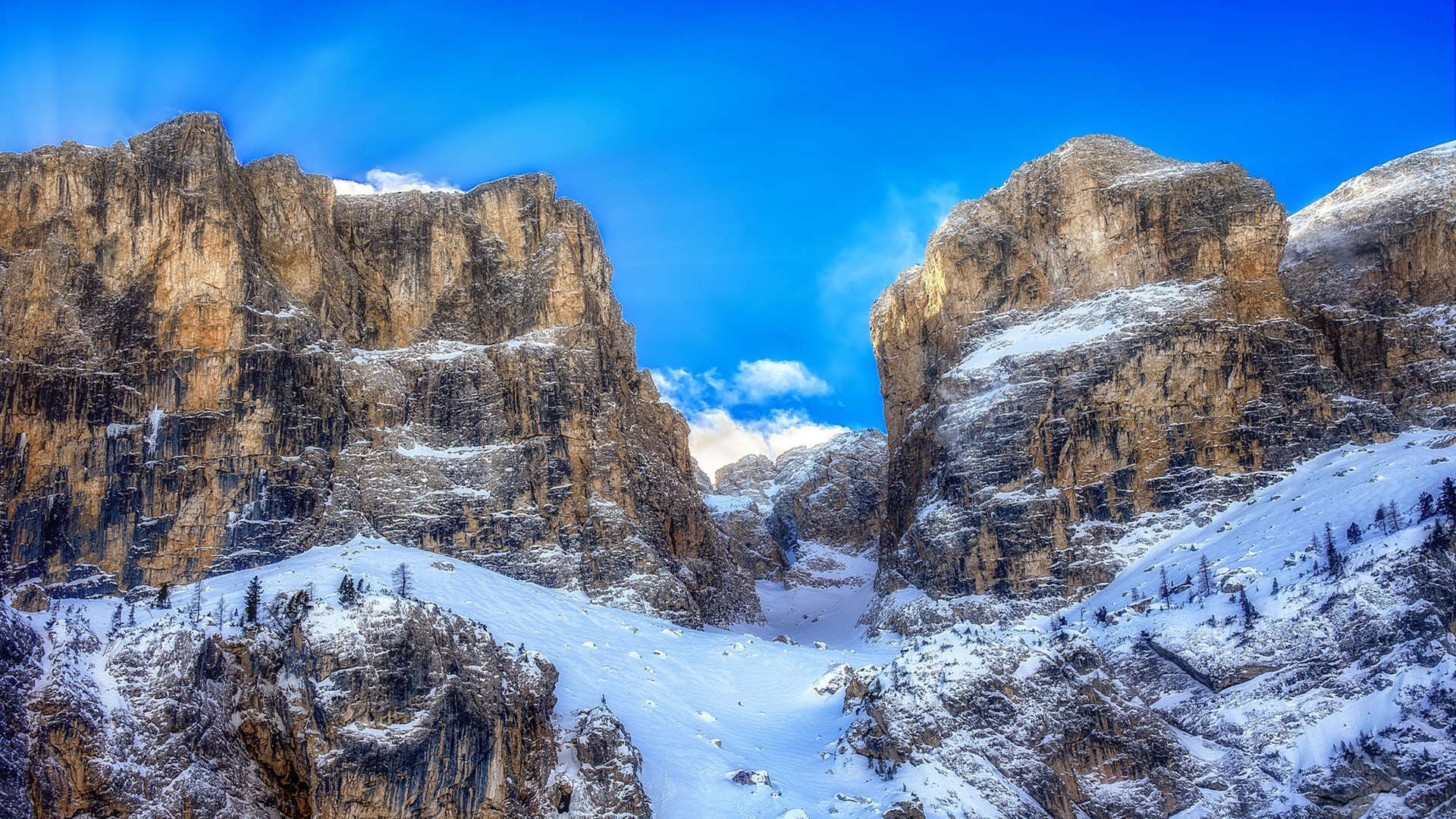 “埃尔斯·霍斯特带领南非羚羊队防守无漏洞”