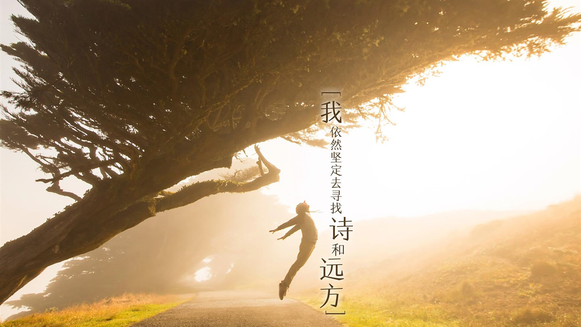 九游体育-乌干达男篮在非洲预赛中奋勇拼搏，迈向国际舞台新目标，乌干达篮球全国联赛