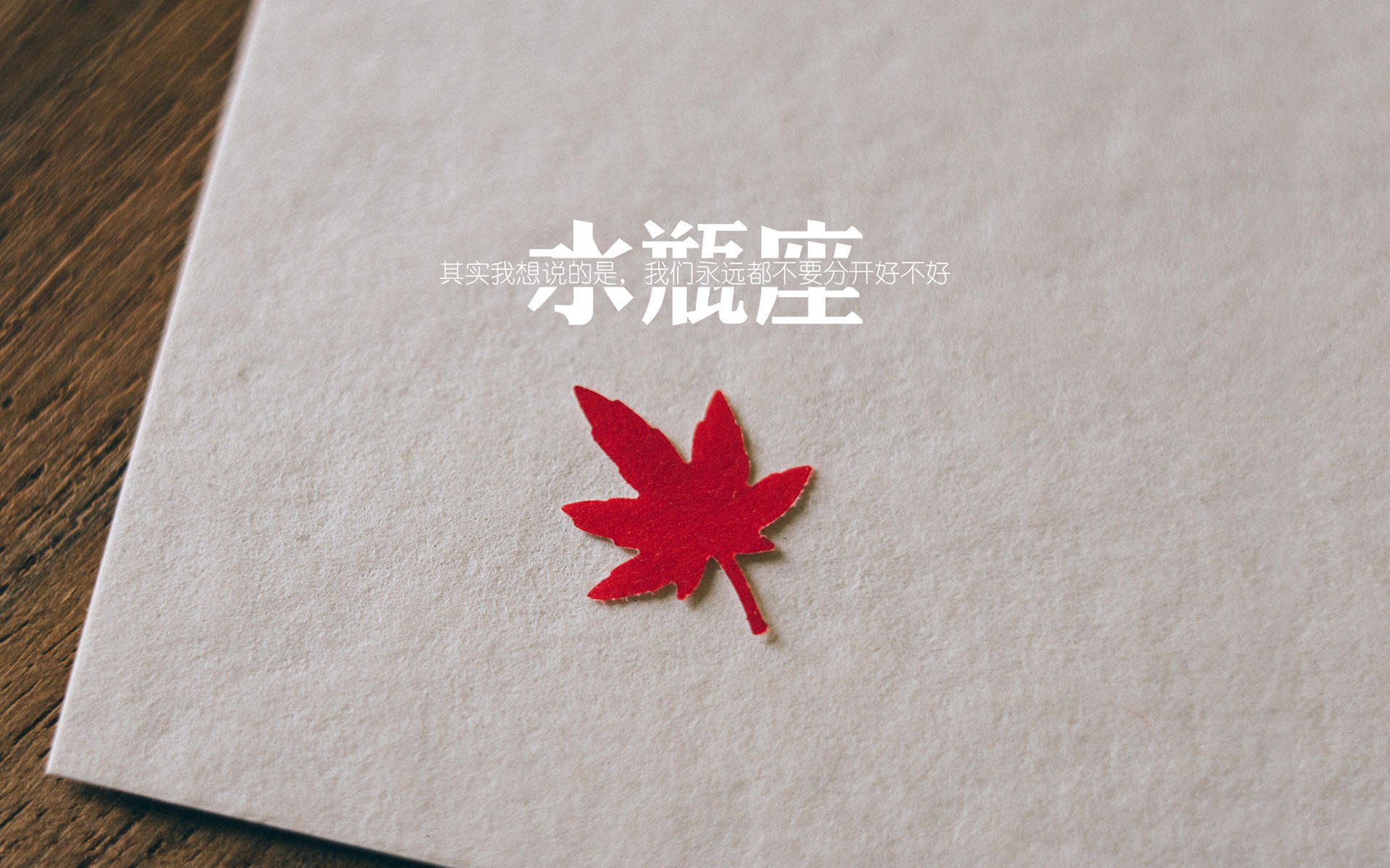 国家体育总局公告国际赛事选拔机制改革实施细节，国际赛事标准