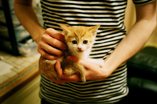 国家体育传媒中心公布优质内容激励计划细则,体育传媒业