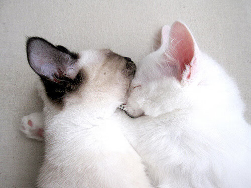 场地条件影响技术发挥，场地条件影响技术发挥的原因