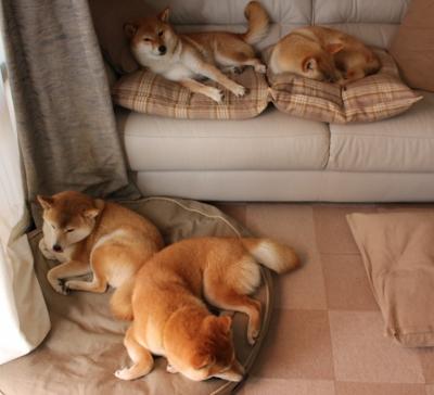 女子篮球青年队推行个性化技术训练方案，女子篮球队风采展示